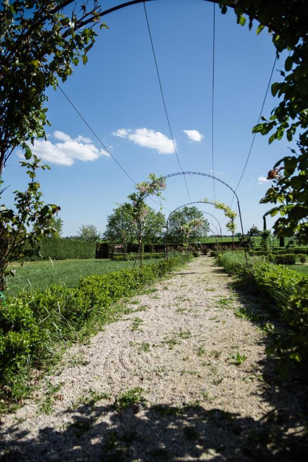Podere San Giuseppe Кастильоне-дель-Лаго Экстерьер фото