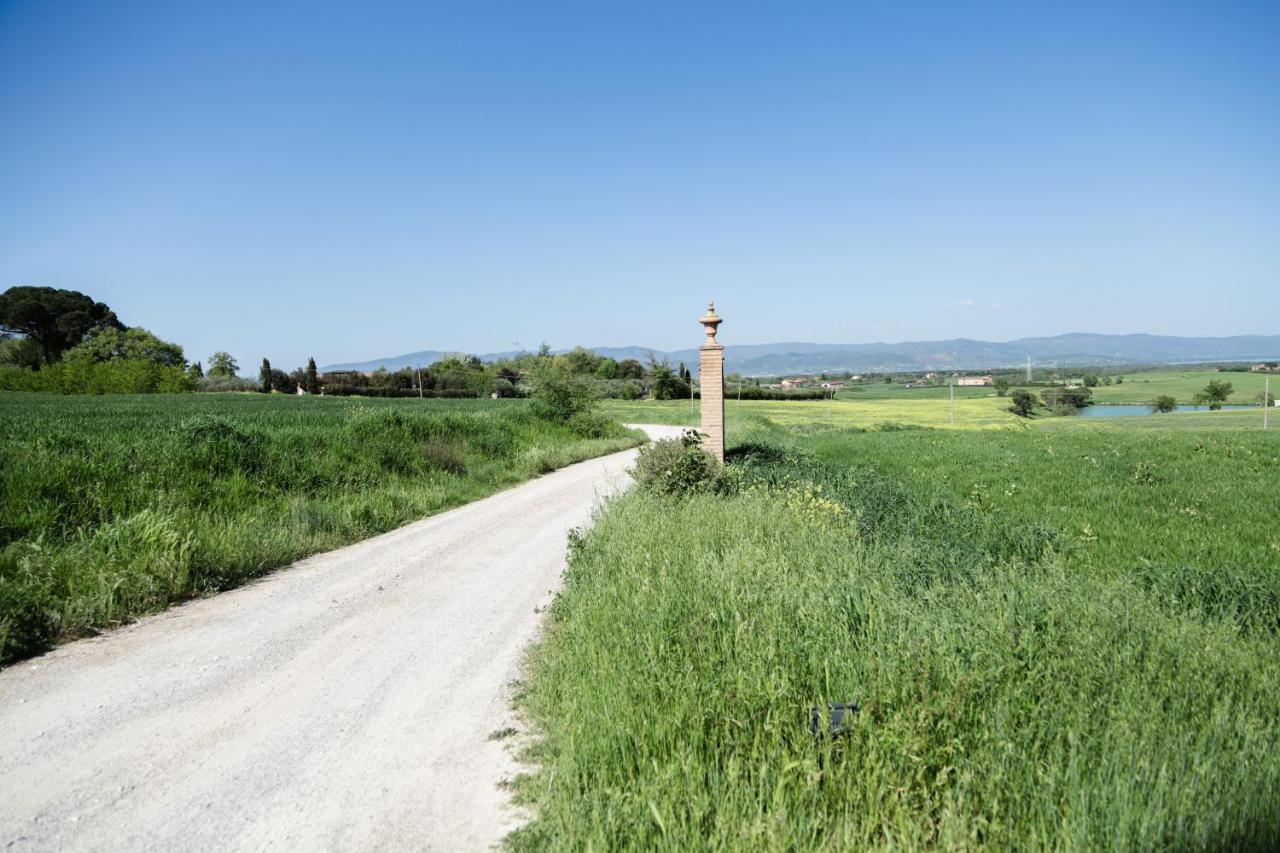 Podere San Giuseppe Кастильоне-дель-Лаго Экстерьер фото