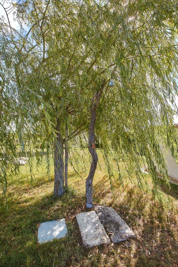 Podere San Giuseppe Кастильоне-дель-Лаго Экстерьер фото